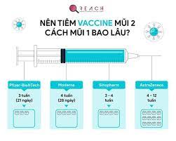 chích vaccine mũi 2 cách mũi 1 bao lâu